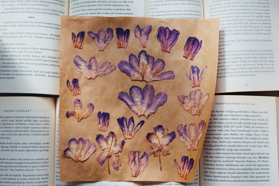 Pressed Flower Lanterns: A Victorian-Inspired Glow for Your Mantel